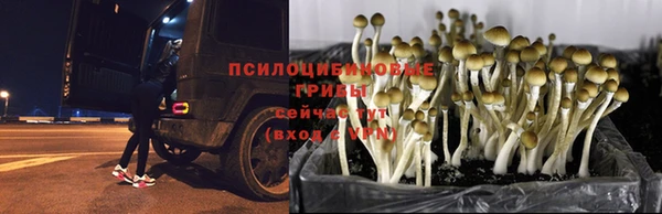 меф VHQ Каменка