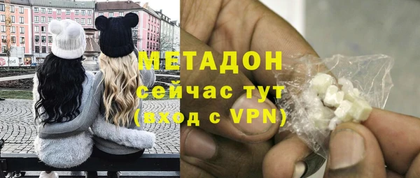 прущие грибы Инсар